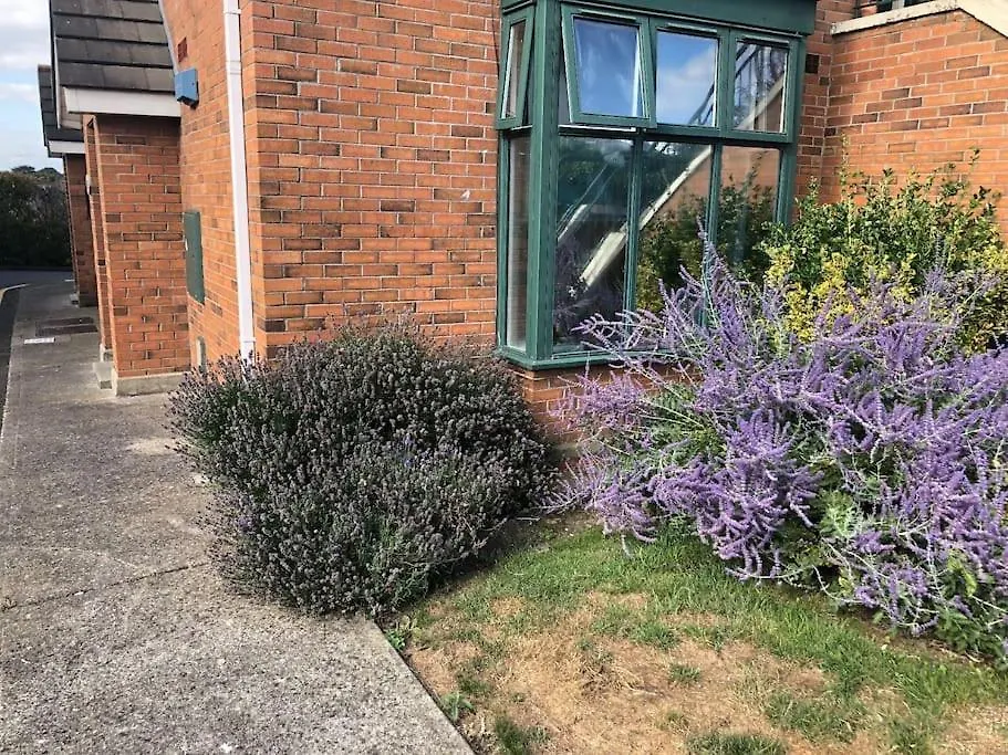 Apartmán Charming Pheonix Parkside Flat Dublin