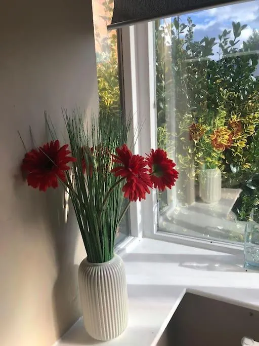 Apartmán Charming Pheonix Parkside Flat Dublin